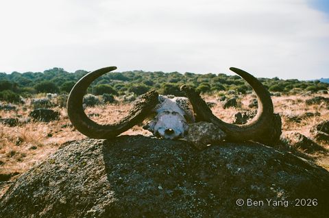 Photograph by Ben Yang