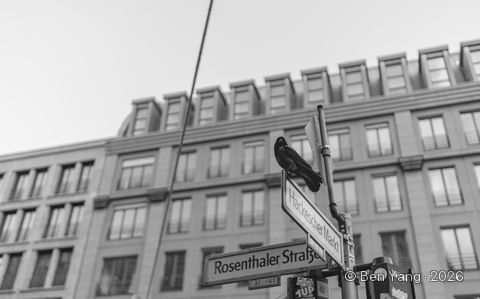 Photograph by Ben Yang