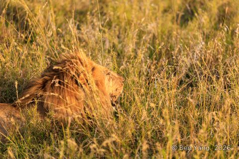 Photograph by Ben Yang