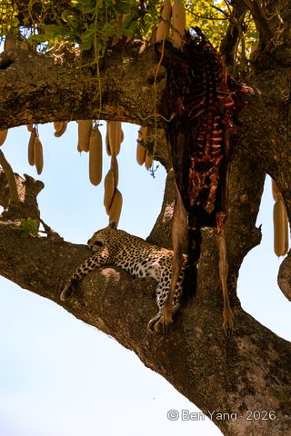 Photograph by Ben Yang