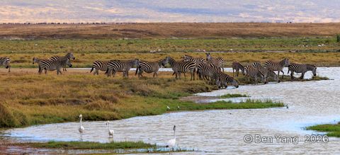 Photograph by Ben Yang