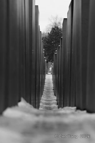 Photograph by Ben Yang