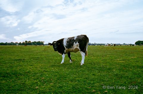 Photograph by Ben Yang