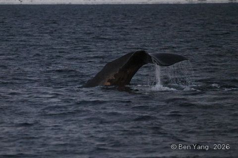 Photograph by Ben Yang